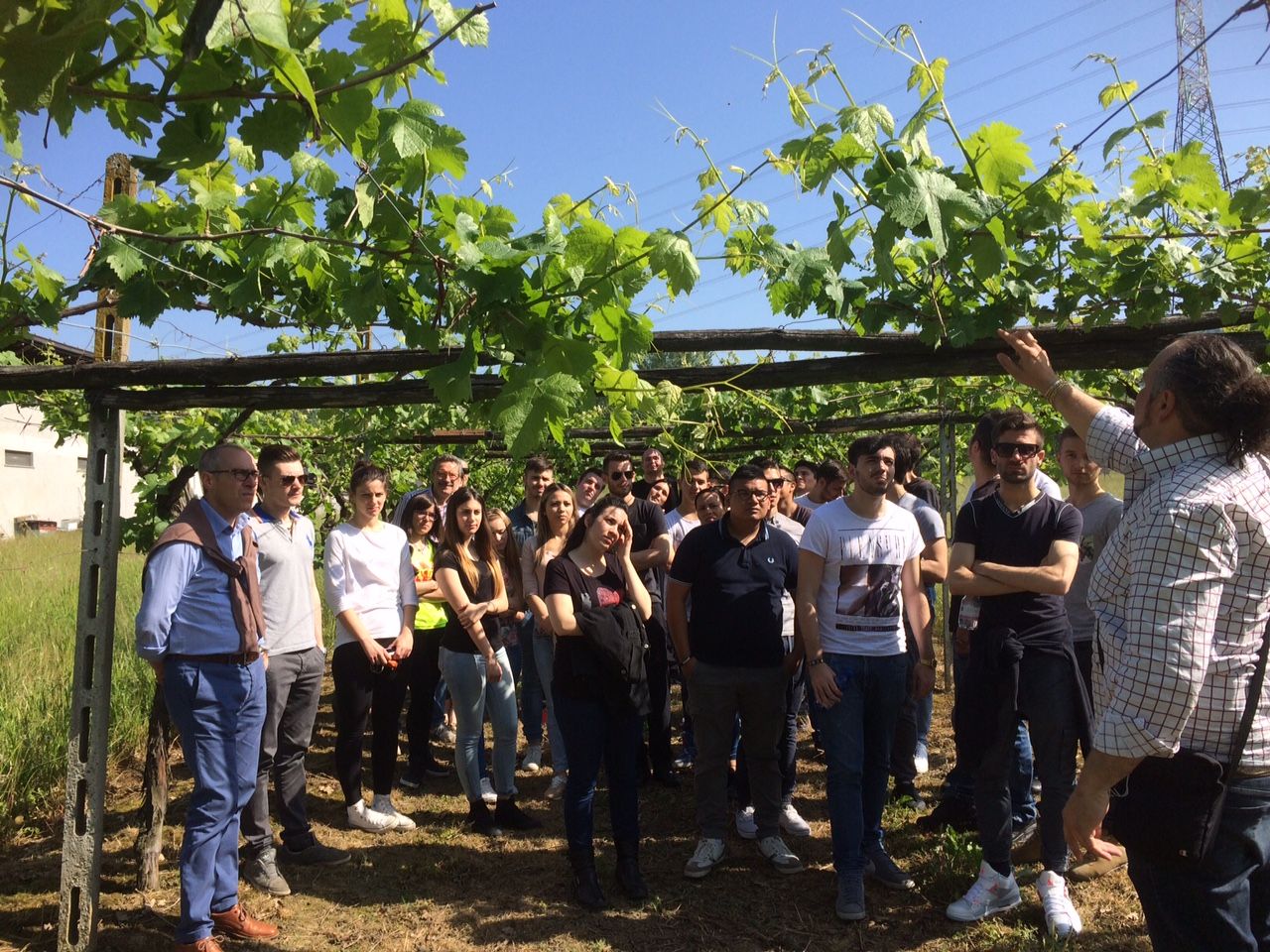 Gruppo dell’istituto Giolitti di Torino in visita ai vigneti di  Silva, ad Agliè