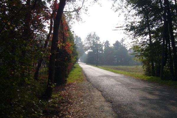 Parco naturale di Stupinigi (Torino)