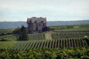 vignoble-champenois