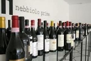 Nebbiolo Prima - Alba (Cuneo)