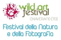 Wild Art Festival 2016