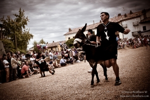 Palio degli Asini, foto di Marco Bombara