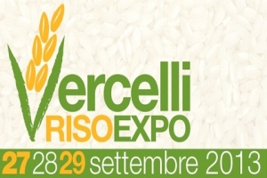 www.vercellirisoexpo.it