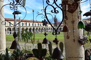 FOLLIA IN FIORE - COLLEGNO (TO)