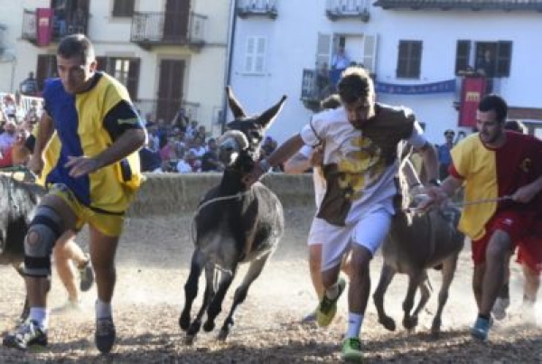 50ª EDIZIONE DEL PALIO DEGLI ASINI