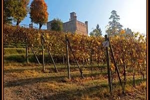 Castello di Grinzane